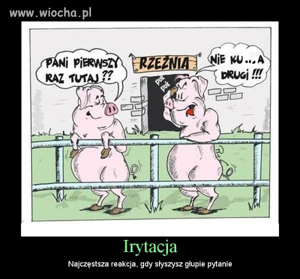 ACH TE GŁUPIE PYTANIA