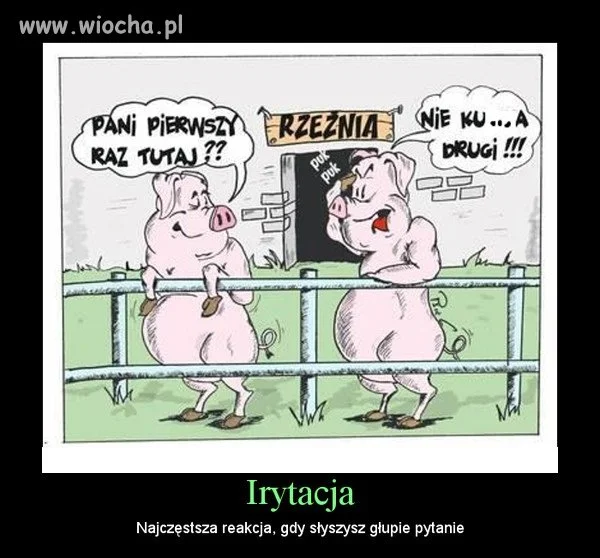 ACH TE GŁUPIE PYTANIA