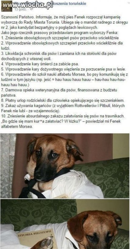 Normalniejszy niż niejeden kandydat na radnego.
