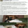 Normalniejszy niż niejeden kandydat na radnego.