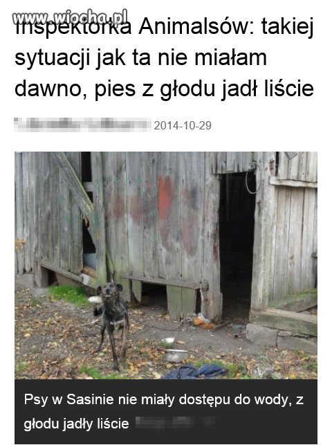 Za jaja takich ludzi