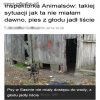 Za jaja takich ludzi