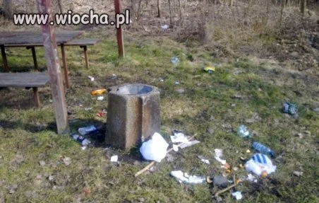 Kosz