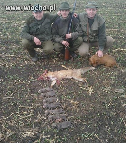 Myśliwi czy mordercy?