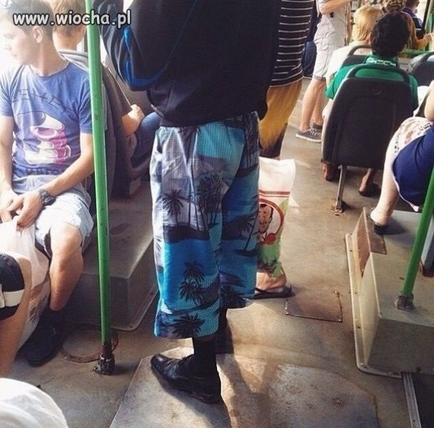 Moda autobusowa poziom master