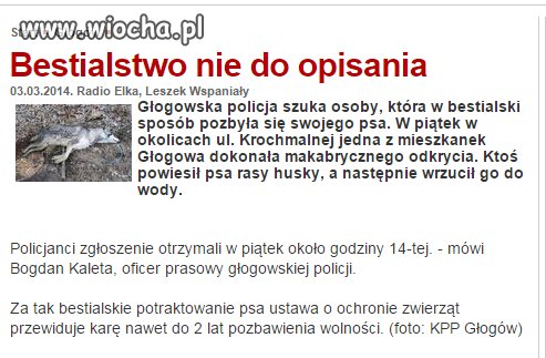 Powieszony pies w rzece