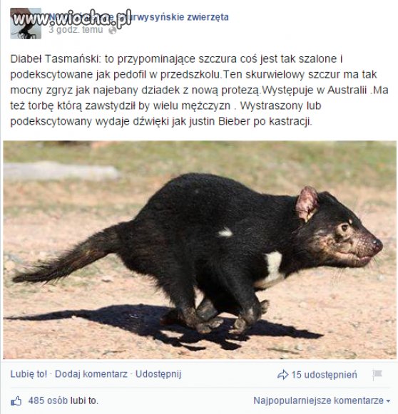 No nieźle...