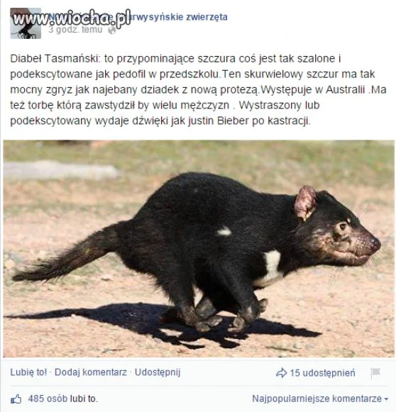 No nieźle...