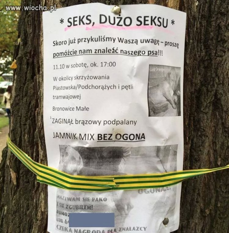 Ogłoszenie...