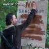 Skąd wzięli logo Polski 