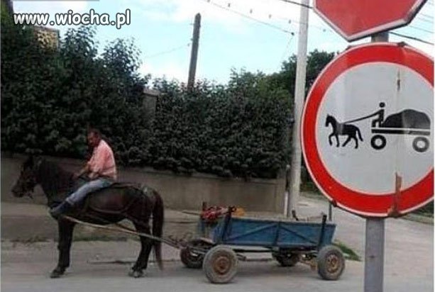 Jak ominąć przepisy