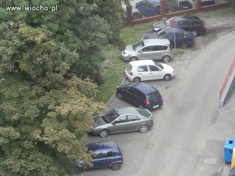 Wszyscy potrafią się dostosować...