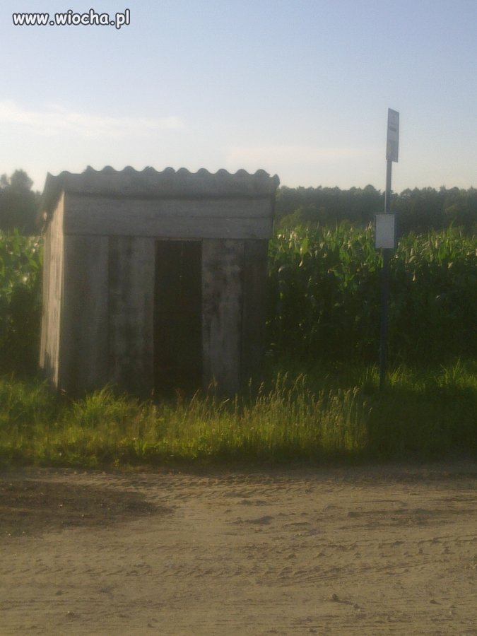 Przystanek !
