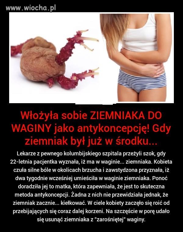 Kiełkująca eko- spiralka