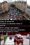 Jedynym bohaterem dla UK to Dzik!