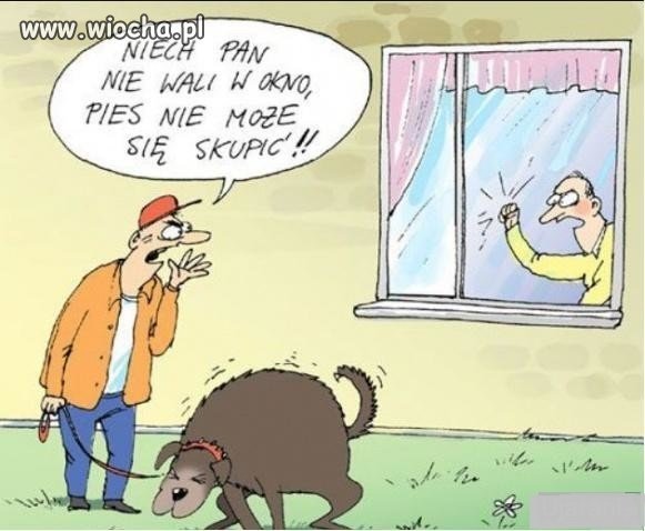 Z życia wzięte
