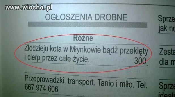 Wiadomość dla złodzieja kota