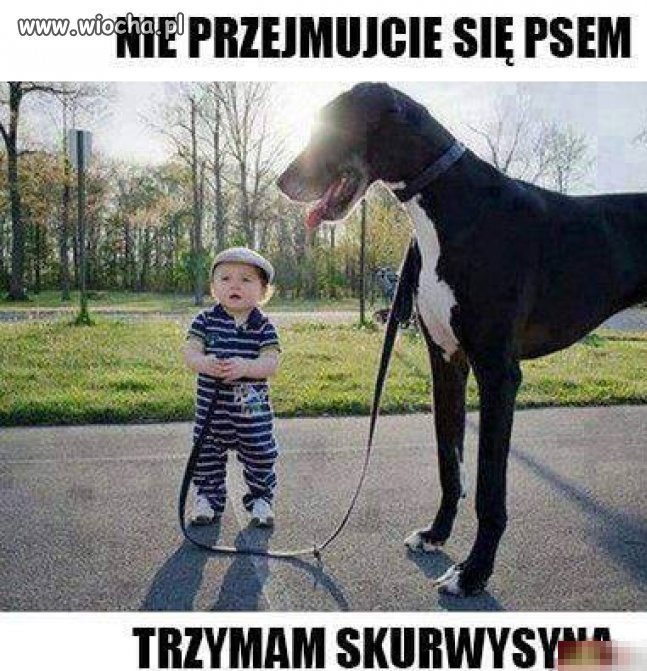 Spokojnie...