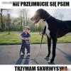 Spokojnie...