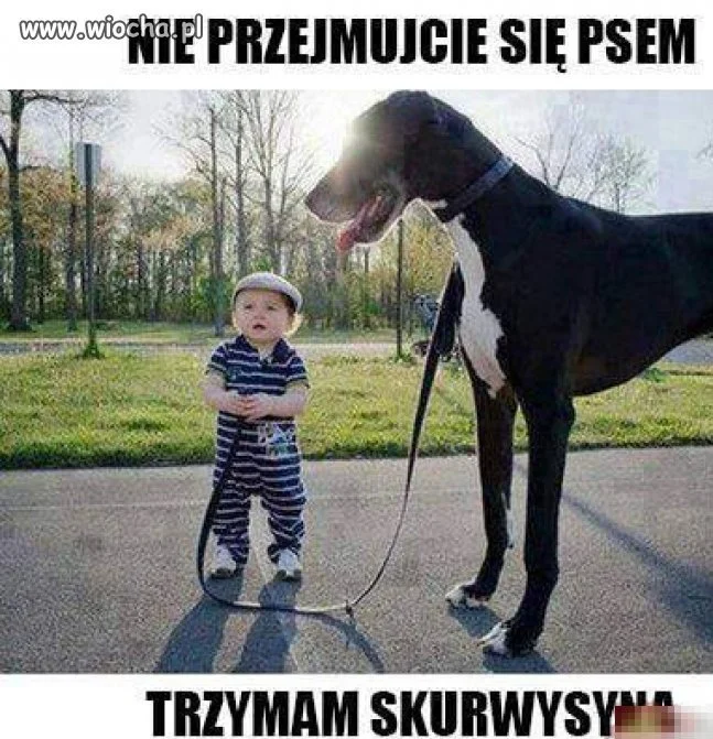 Spokojnie...