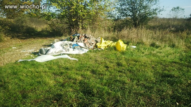 Nowa "ustawa śmieciowa" miała temu zapobiec