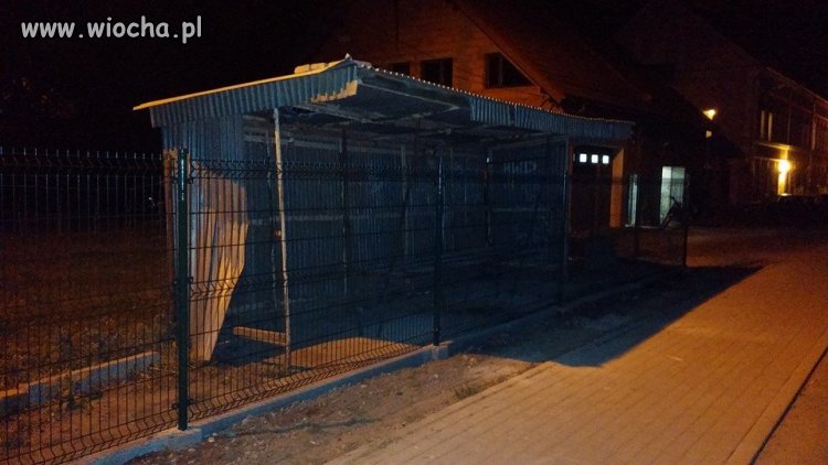Bezpieczne przystanki tylko w Polsce