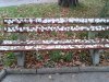 Ławka w kielcekim parku