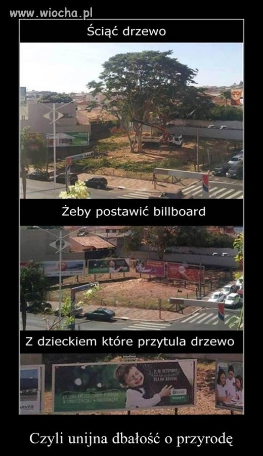 Ironia losu