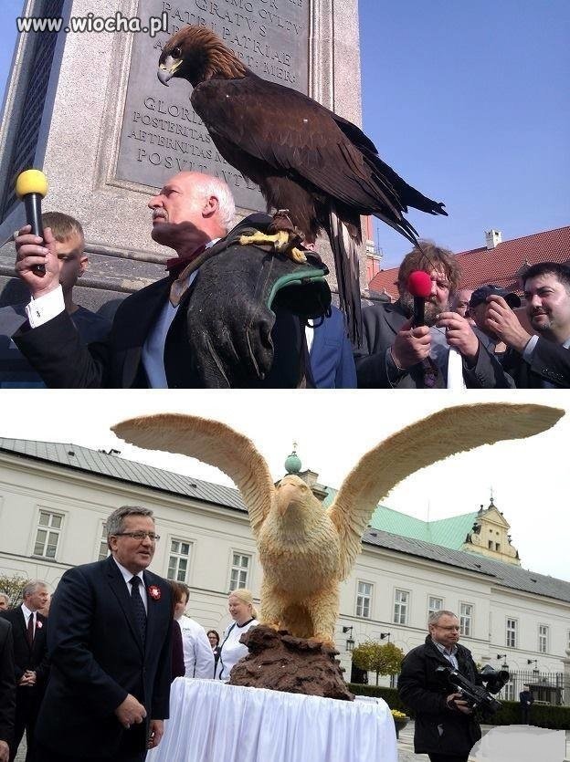 Są orły i są orzełki