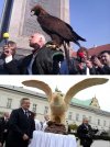 Są orły i są orzełki