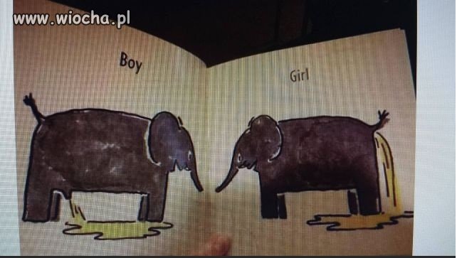 Edukacja seksualna, a kiedyś uczyli na motylkach