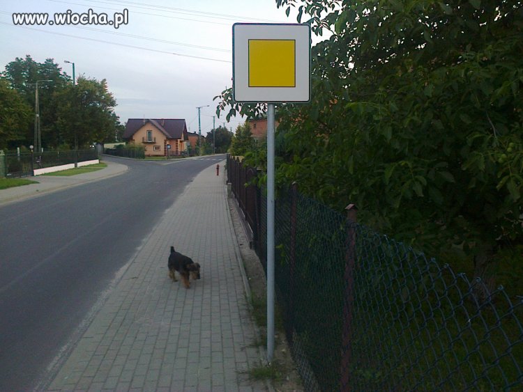 Nowe znaki