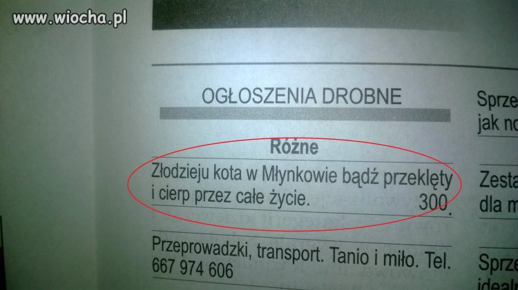 Ogłoszenia drobne