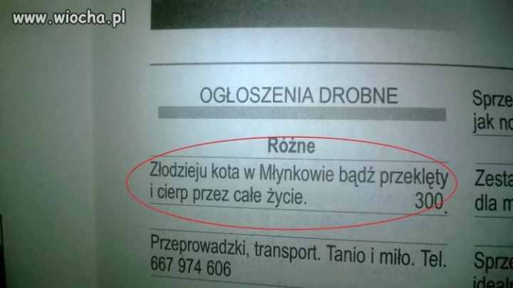 Ogłoszenia drobne