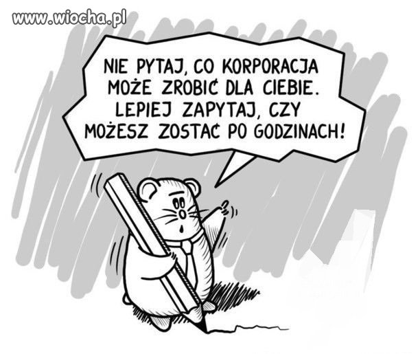 Korporacje i Ty