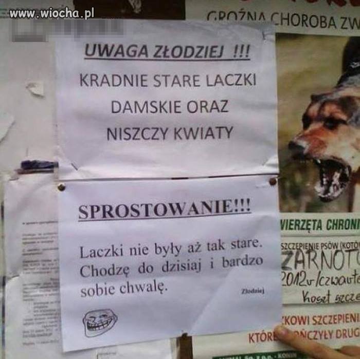 Szczery złodziej
