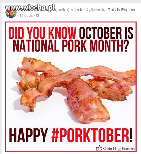 Na pohybel kozoyebcom.
