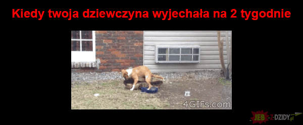 Hahahaha