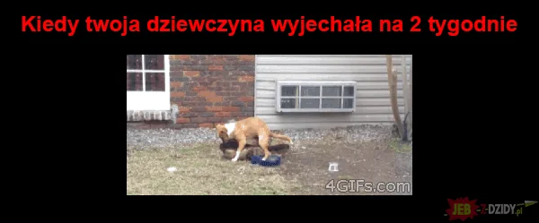 Hahahaha