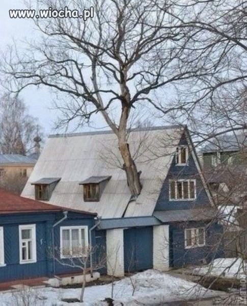 Przyroda 2000
