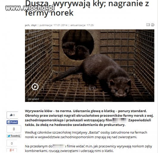Wiocha dla hodowców...