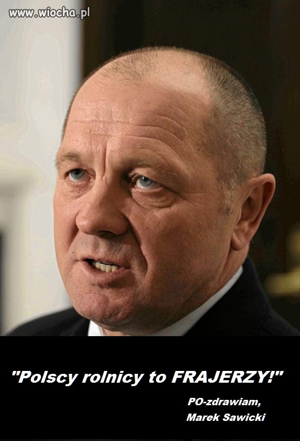 Wydy.mać rolników na skupie jabłek a PO-tem...