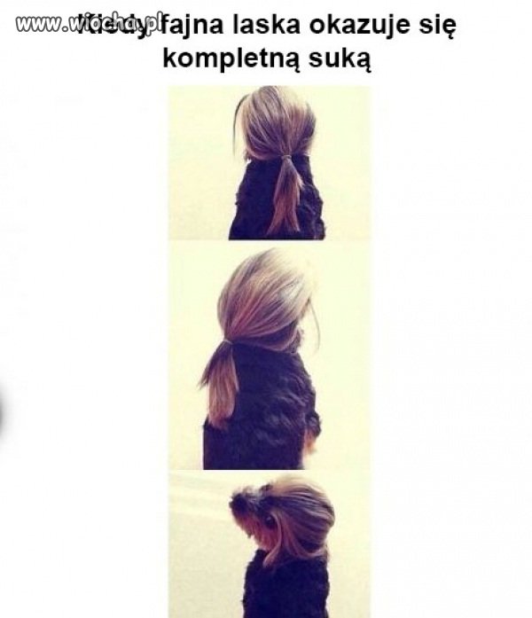 Obróciła się w sukę