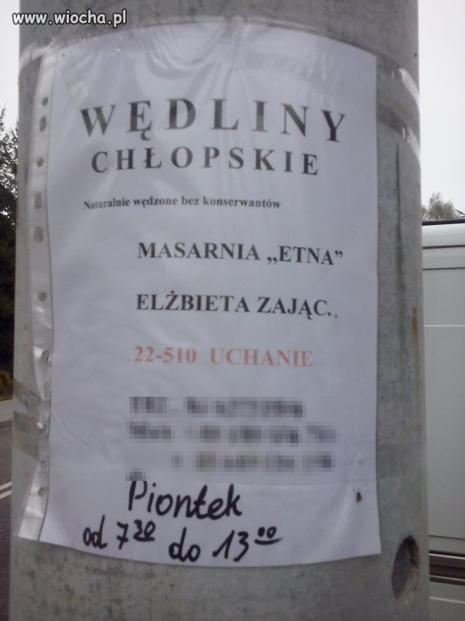 Nałęczów pozdrawia