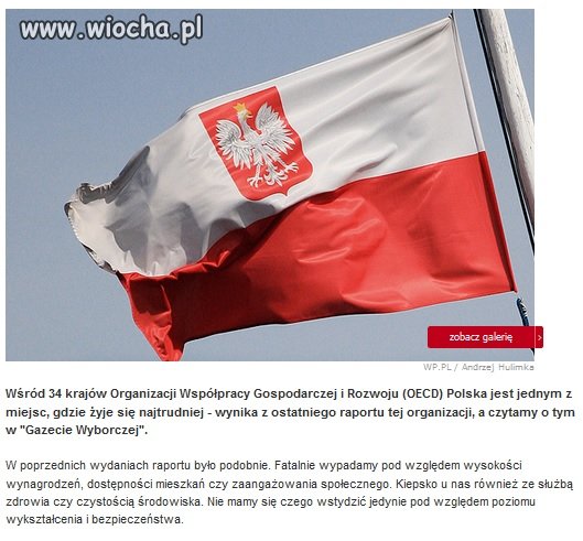 Zielona wyspa