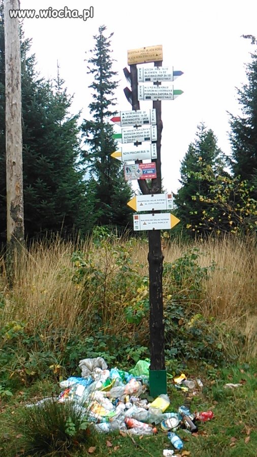 Rozstaje pod Mladą Horą "Anula". Beskid Mały.