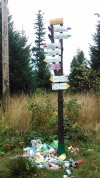 Rozstaje pod Mladą Horą "Anula". Beskid Mały.