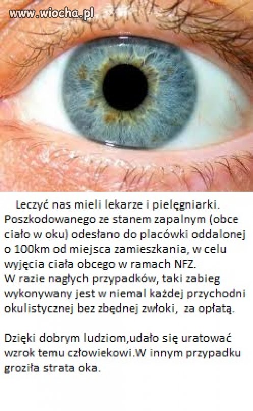 Trudny wybór