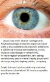 Trudny wybór