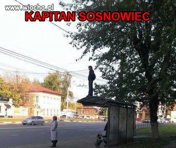 A tymczasem w Sosnowcu